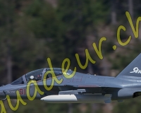 3MEIRINGEN350-Modifier