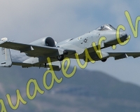 4MEIRINGEN153