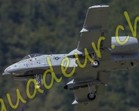 4MEIRINGEN204