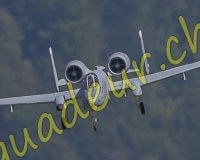4MEIRINGEN229-Modifier