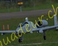 4MEIRINGEN230