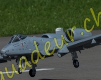 4MEIRINGEN250