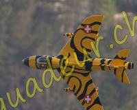 1RCMEIRINGEN036