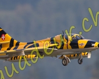 1RCMEIRINGEN098