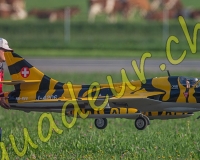 1RCMEIRINGEN131