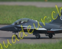 1RCMEIRINGEN231