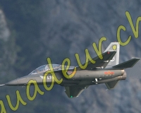 1RCMEIRINGEN339