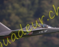 1RCMEIRINGEN640