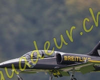 2RCMEIRINGEN556