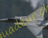 3RCMEIRINGEN331