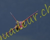 4RCMEIRINGEN241