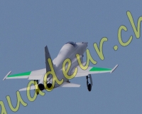 1RCPAYERNE011