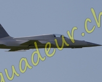 1RCPAYERNE021