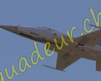 1RCPAYERNE039