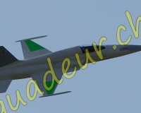 1RCPAYERNE058