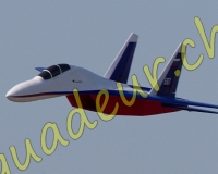 1RCPAYERNE106