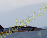 1RCPAYERNE216