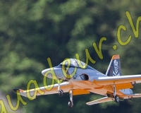 1RCPAYERNE223