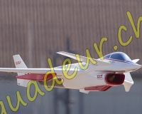 1RCPAYERNE246