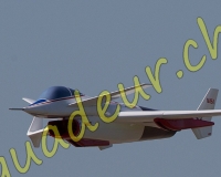 1RCPAYERNE263