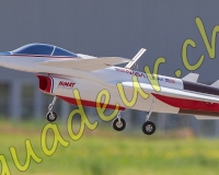 1RCPAYERNE281
