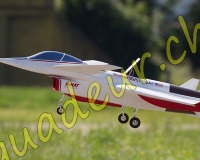 1RCPAYERNE285