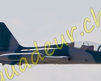 1RCPAYERNE307