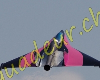1RCPAYERNE601