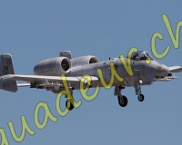 2RCPAYERNE556