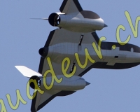 3RCPAYERNE117