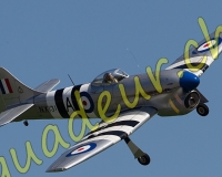 3RCPAYERNE249