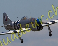 3RCPAYERNE290