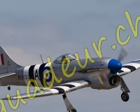 3RCPAYERNE301