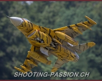 E6T0541