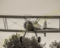 1RIO183-Modifier