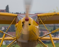1RIO251
