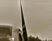 1RIO254-Modifier