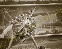1RIO269-Modifier