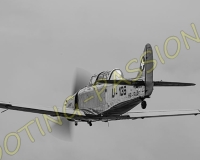 1RIO395-Modifier-Modifier