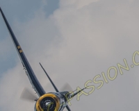 1RIO646