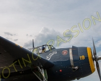 3RIO233