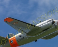 5RIO169