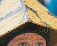 1ROMONT588
