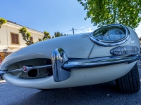 7R406589