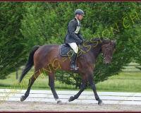 1COMPLET152