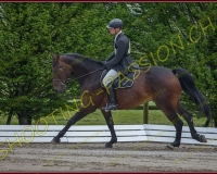 1COMPLET156