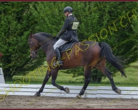 1COMPLET171