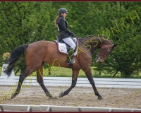1COMPLET299