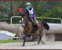 2COMPLET019