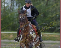 2COMPLET238